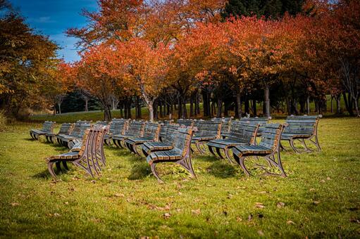 星観緑地の秋景色・札幌の色づく自然風景 北海道,札幌,札幌市の写真素材