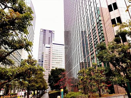 都市の街並 都市,都市の街並,都会の写真素材