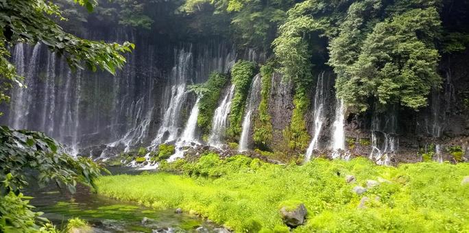 白糸の滝 富士宮 白糸の滝 富士宮 白糸の滝,世界遺産,天然記念物の写真素材