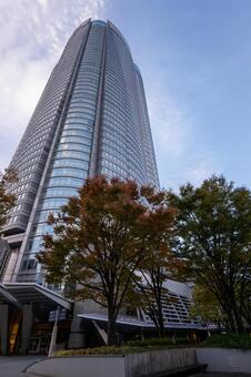 六本木ヒルズ　2025年11月 六本木ヒルズ,朝,東京の写真素材