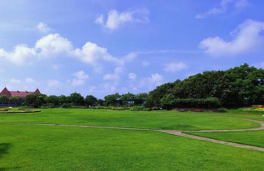 夏の芝生広場/しまね花の郷 夏の芝生広場/しまね花の郷の写真