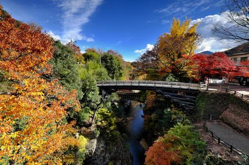 紅葉の猿橋③ 猿橋,黄葉,紅葉の写真素材