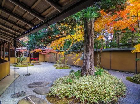 【神奈川県】鎌倉市・一条恵観山荘 【神奈川県】鎌倉市・一条恵観山荘 一条恵観山荘,紅葉,秋の写真素材