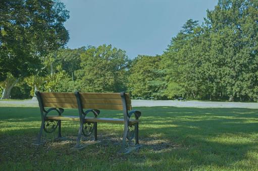 ベンチ 緑の公園 ベンチ 緑の公園 ベンチ,椅子,座るの写真素材