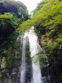 箕面大滝 箕面大滝の写真
