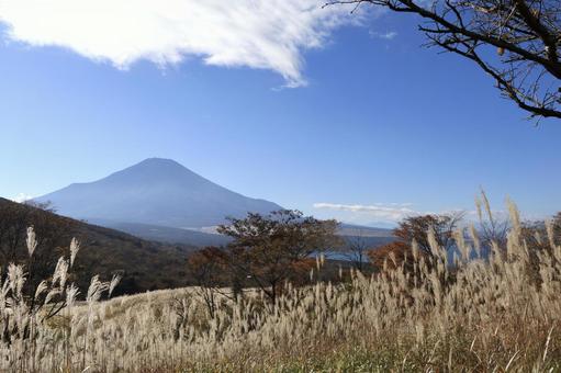 秋の富士山 秋の富士山の写真