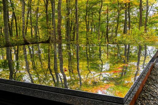 秋の空気神社⑺の写真