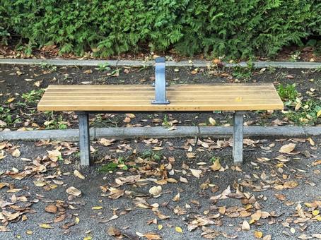 落葉とベンチ 落葉,ベンチ,木の写真素材