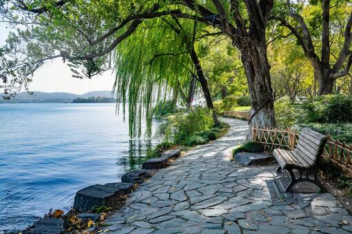 杭州・西湖 蘇堤 西湖,蘇堤,杭州の写真素材