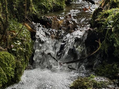 小川 小川,自然,風景の写真素材