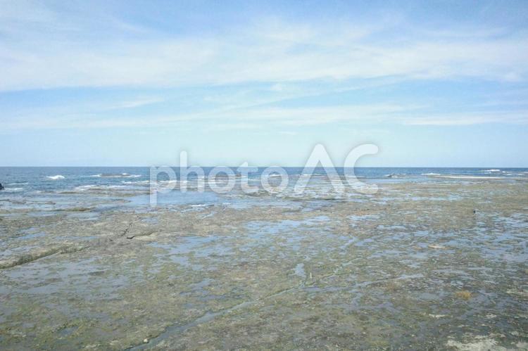 青い空と万畳敷 万畳敷,佐渡,干潮の写真素材