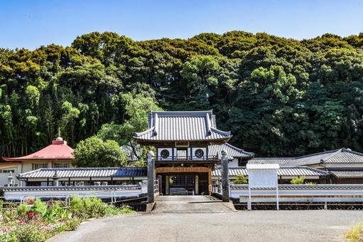 泰智寺山門 泰智寺山門 寺院,寺,肥前浜宿の写真素材