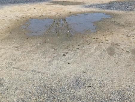 地面の水たまりに映る木 地面の水たまりに映る木 水たまり,地面,土の写真素材
