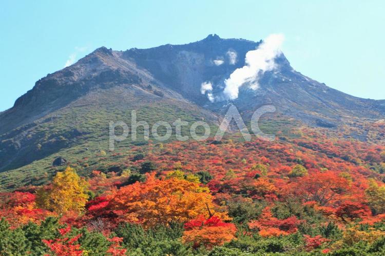紅葉の茶臼岳（栃木那須） 紅葉,秋,山の写真素材