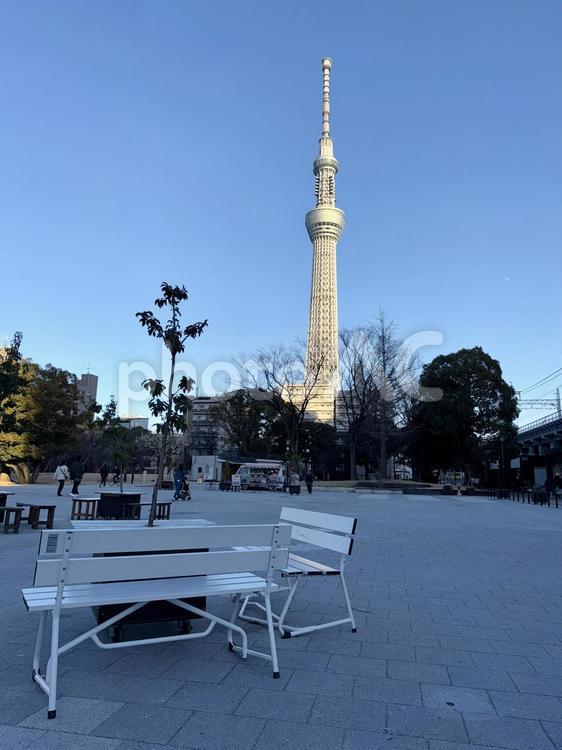 隅田公園　墨田区側　ガーランド 隅田公園,墨田区,塔の写真素材