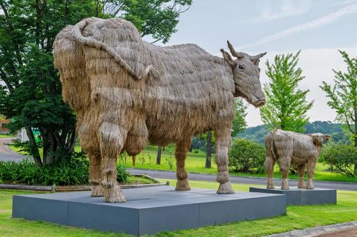 Photo, cattle, object, straw, 