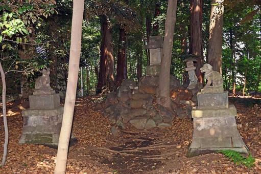 土支田八幡宮(練馬) 土支田八幡宮(練馬)の写真