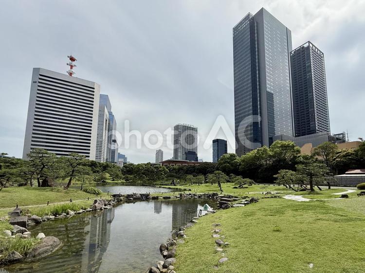 6月　旧芝離宮恩賜庭園 旧芝離宮恩賜庭園,都会の自然,6月の写真素材