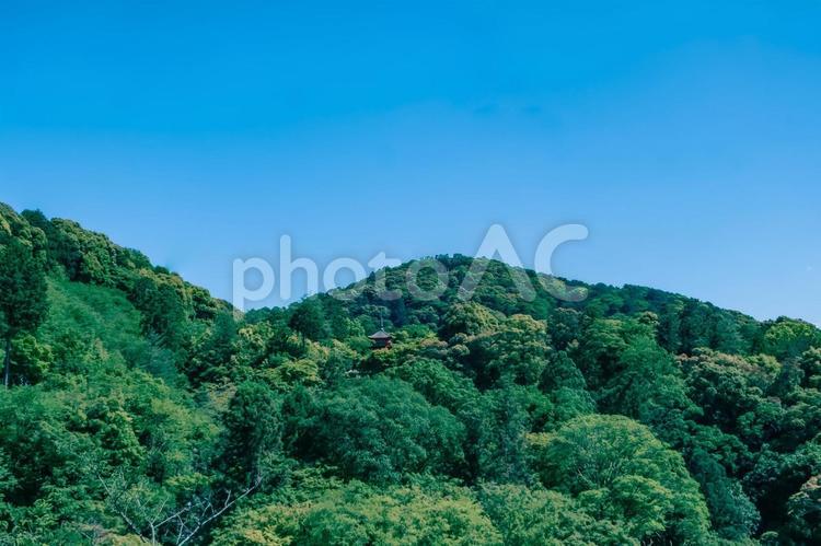 山と青空　新緑の季節 風景,空,青空の写真素材