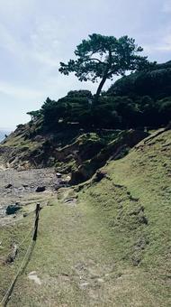 海はもう少し 日本,島,浜辺の写真素材