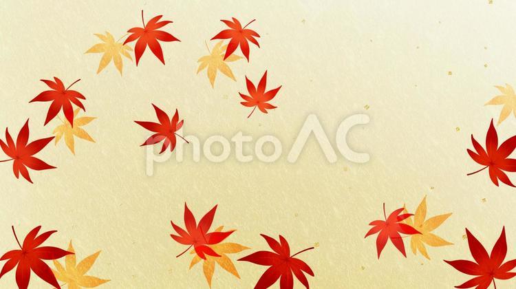 舞い散る紅葉　秋の和風背景素材（金色背景） 秋,紅葉,金箔の写真素材
