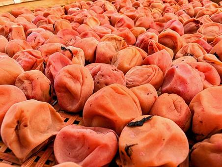 Photo, salted plum, perilla plum, plum, 