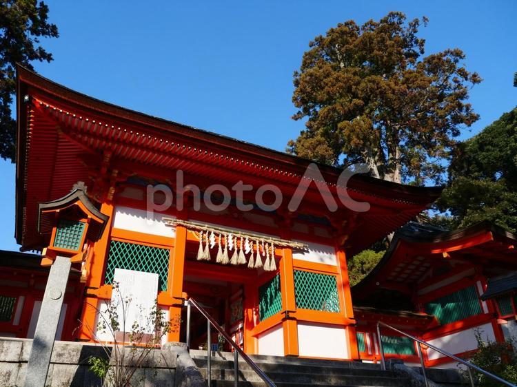 福岡県福岡市　香椎宮　中門 香椎宮,中門,けやき造りの写真素材