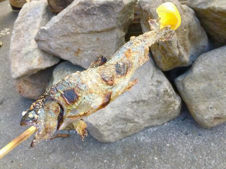 Photo, fish, salt-grilled, yamame, 