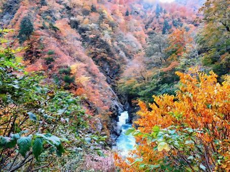 紅葉の清津峡 紅葉の清津峡の写真