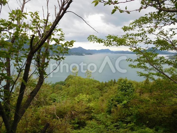しまなみ海道のどこかの島から しまなみ海道のどこかの島から,しまなみ海道,島の写真素材