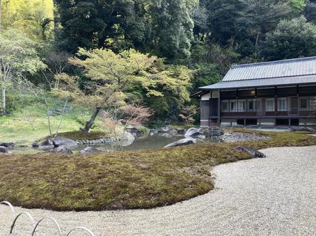 造園 造園 鶴岡八幡宮,鎌倉,神社の写真素材