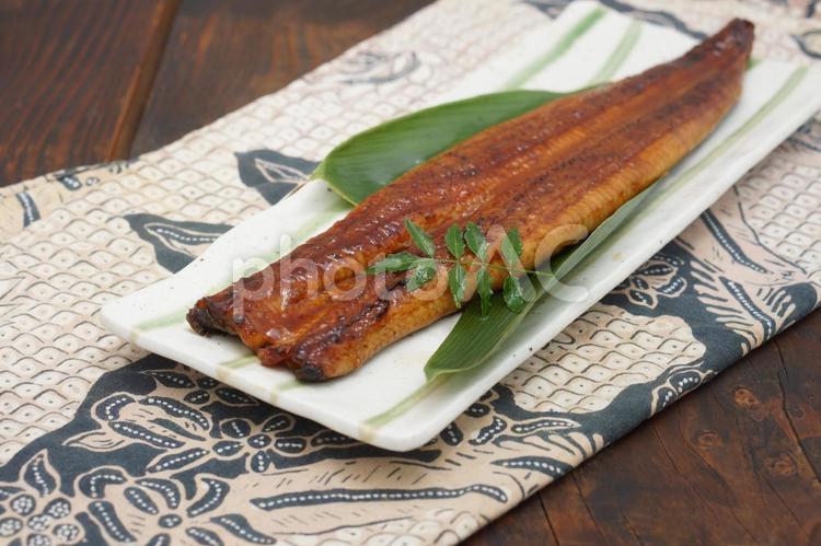 ウナギの蒲焼き うなぎの蒲焼き,蒲焼き,鰻料理の写真素材