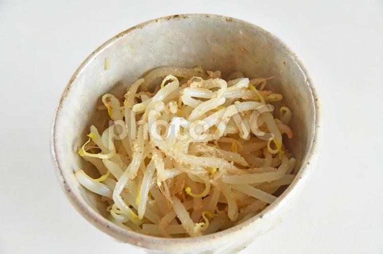 ＜副菜＞もやしのナムル もやし,ナムル,ごまの写真素材