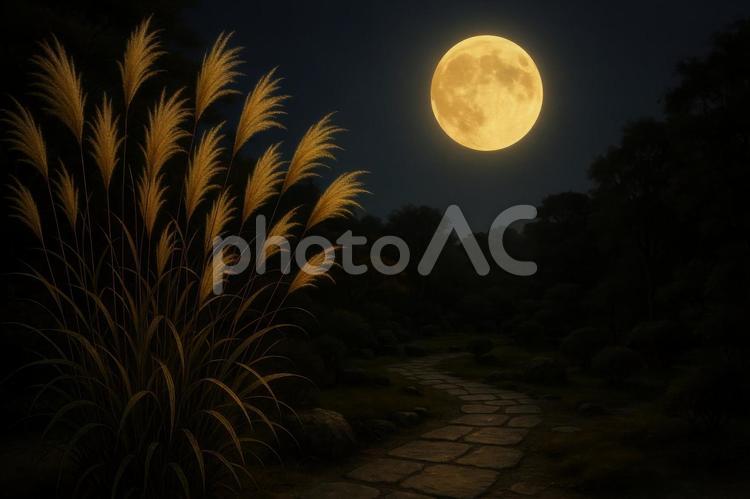 秋の夜空に輝く満月とススキの穂 月見,中秋の名月,満月の写真素材