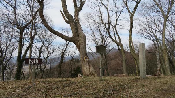 Photo, toragozenyama castle, zhencheng, capture of odani castle, 