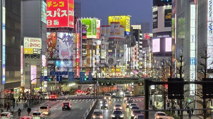 新宿の夜景 ビジネス街,オフィス街,街並みの写真素材
