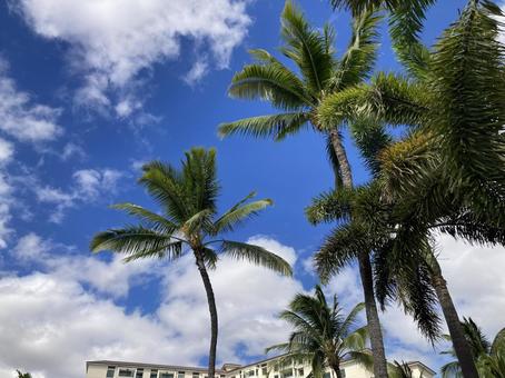 ハワイの空Ｅ ハワイ,青空,雲の写真素材