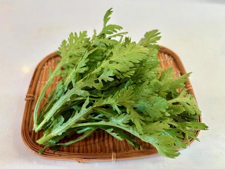 収穫したての春菊③ 春菊,冬野菜,野菜の写真素材