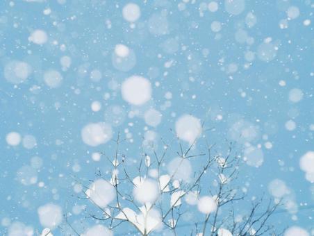 舞い散る雪 雪,冬,1月の写真素材