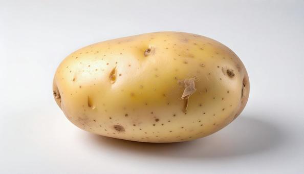 白い背景に皮付きのじゃがいもの写真