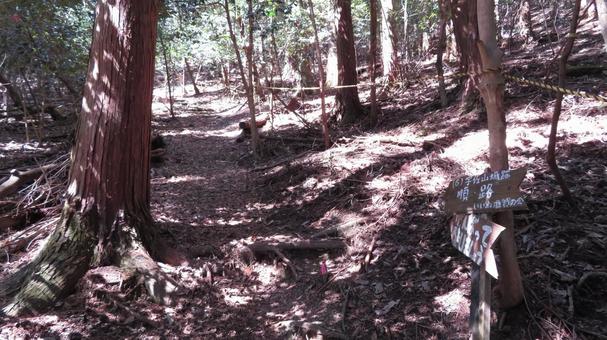 宇佐山城 城跡の風景 登山道 宇佐山城 城跡の風景 登山道 宇佐山城,宇佐山,森可成の写真素材