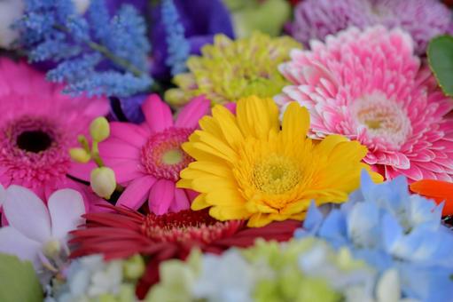 花手水 花手水の写真