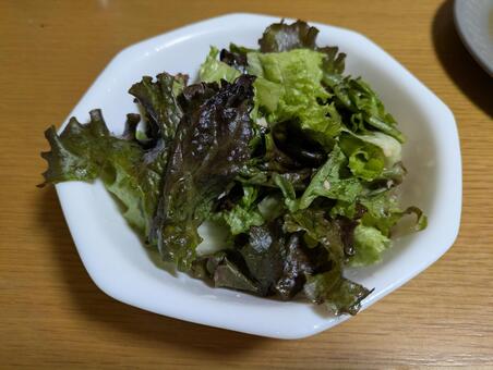 サニーレタスのサラダ サニーレタス,サラダ,おかずの写真素材