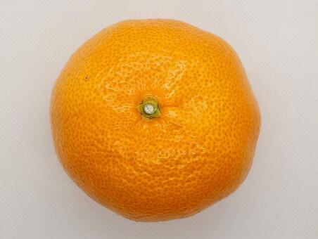 みかん みかん,蜜柑,柑橘類の写真素材