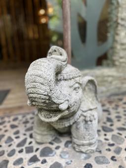 赤ちゃんゾウ インドネシア,石,ゾウの写真素材