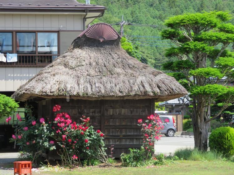 山梨県　忍野八海 忍野八海,富士山,世界遺産の写真素材