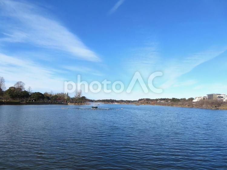 冬の千波湖の風景 千波湖,水戸市,湖沼の写真素材
