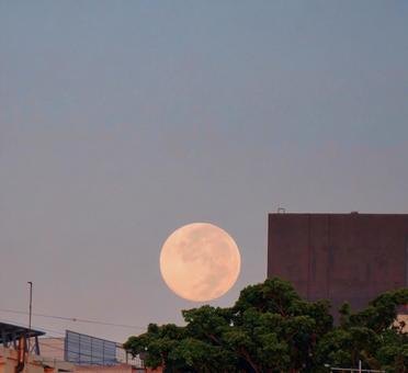 満月 夜明け 秋 満月 夜明け 秋の写真