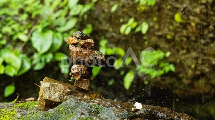 岩生えるツタと積まれた岩 自然,石,石積みの写真素材