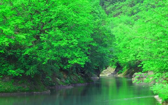 北海道  滝の上渓谷　錦仙峡 渓谷,滝上渓谷,錦仙峡の写真素材
